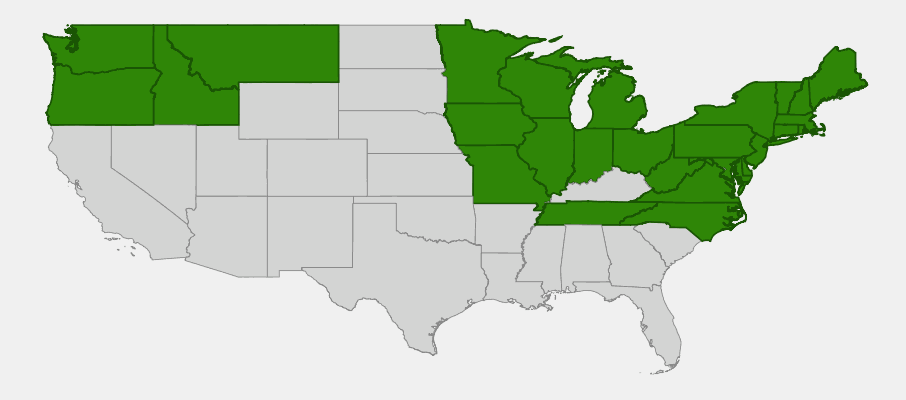 State-level native range of Phegopteris connectilis