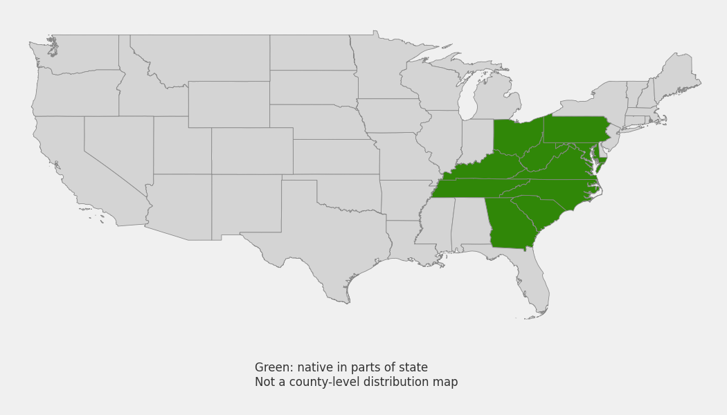 State-level native range of Phlox stolonifera