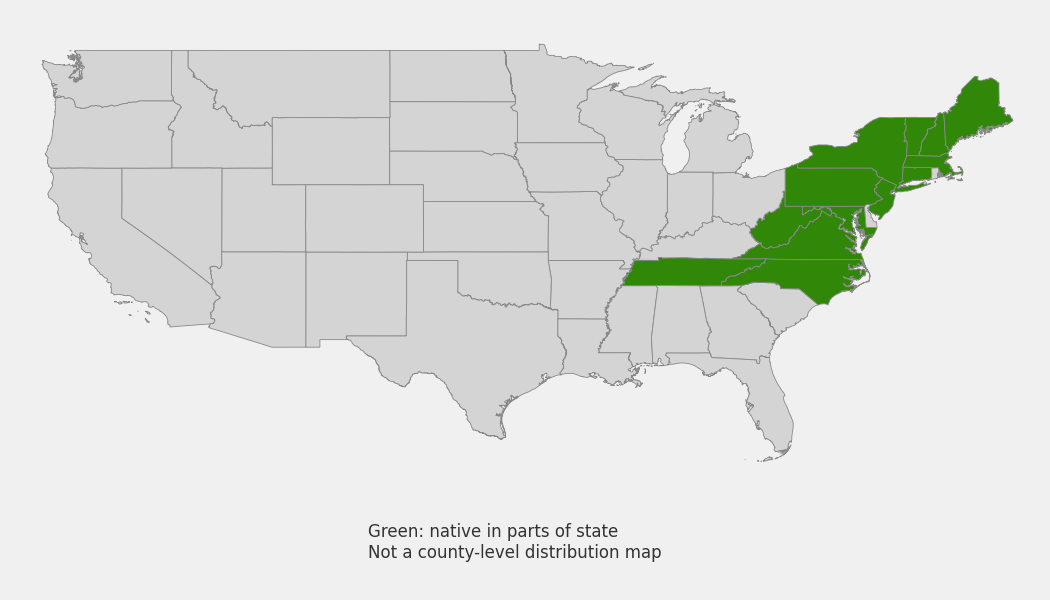 State-level native range of Picea rubens