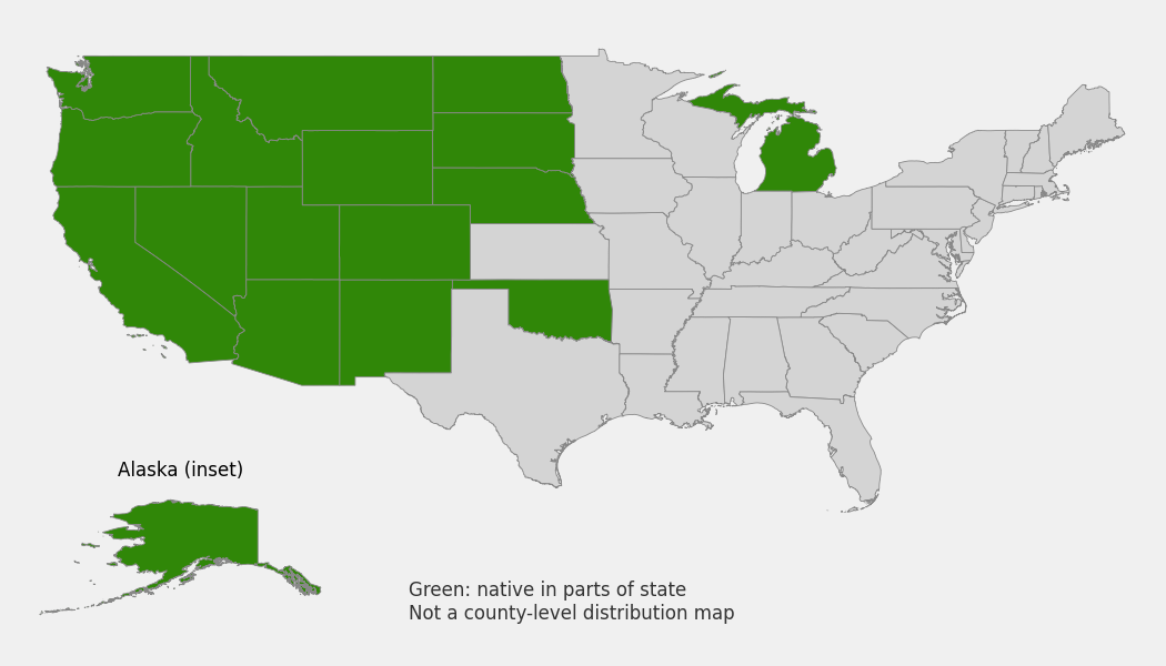 State-level native range of Poa secunda