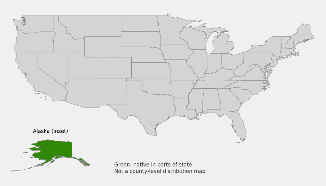 State-level native range of Polemonium villosum