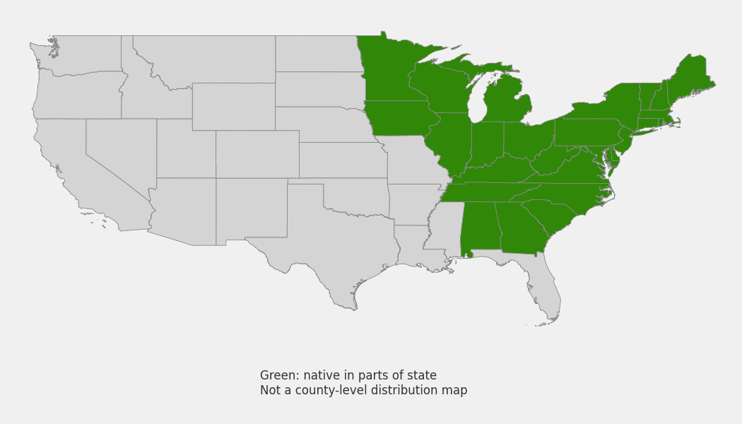 State-level native range of Polygonatum pubescens