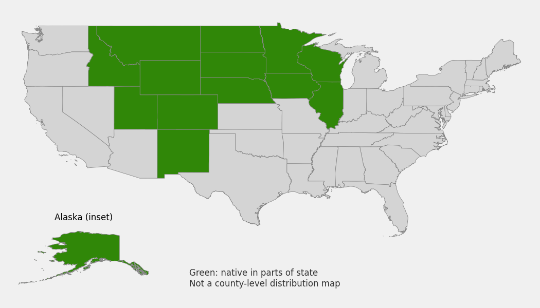 State-level native range of Pulsatilla nuttalliana