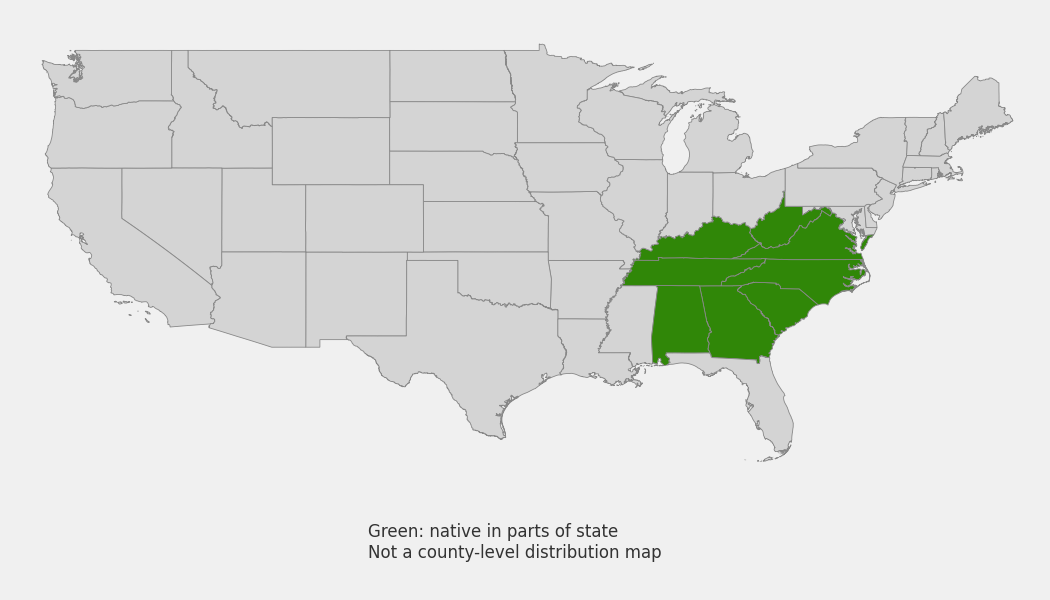 State-level native range of Rhododendron catawbiense