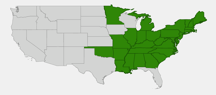State-level native range of Micranthes virginiensis