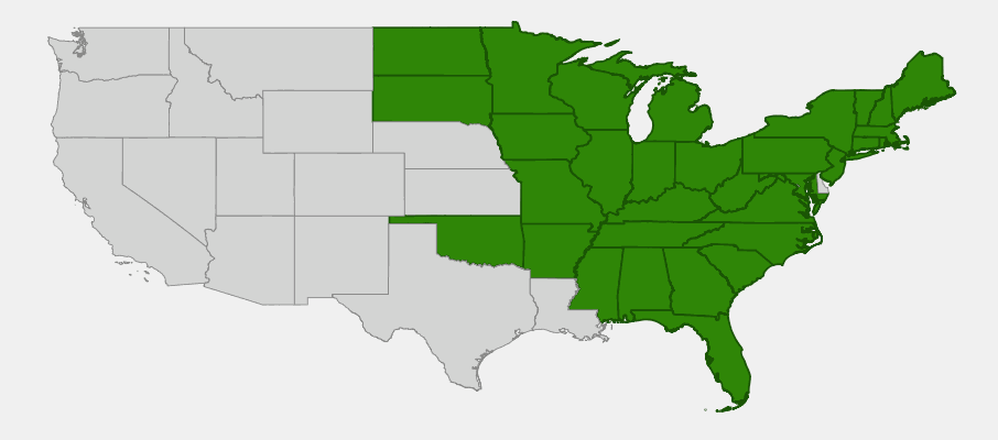 State-level native range of Packera aurea