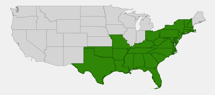 State-level native range of Solidago odora