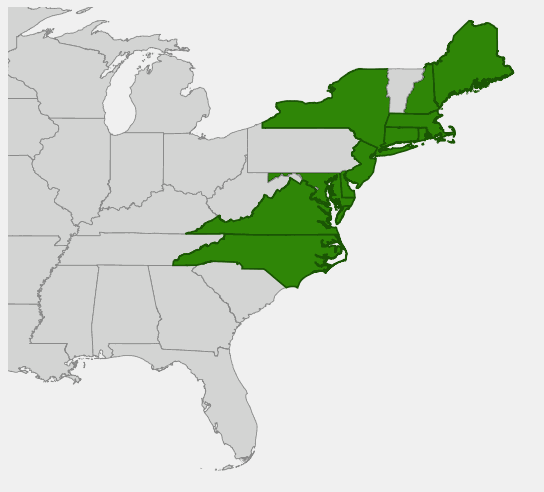 State-level native range of Solidago sempervirens
