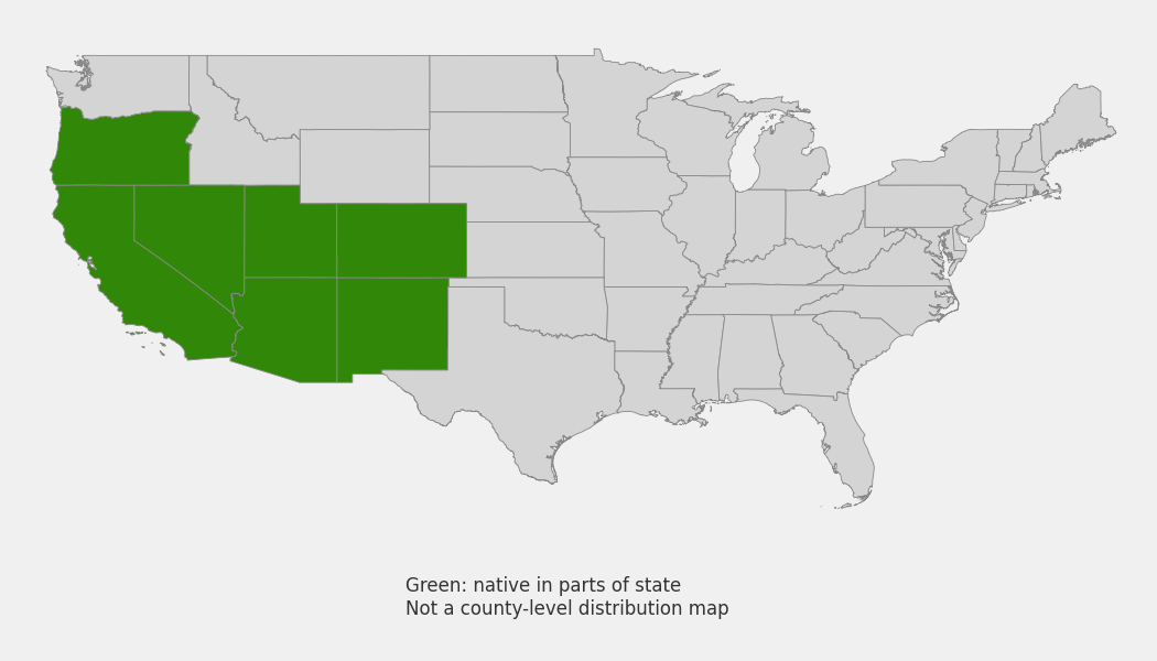State-level native range of Pappostipa speciosa