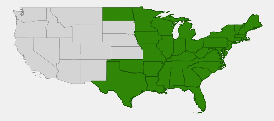 State-level native range of Uvularia sessilifolia