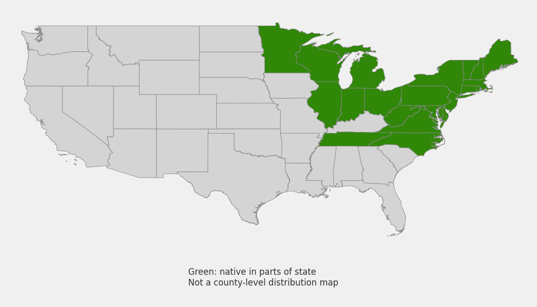 State-level native range of Vaccinium macrocarpon