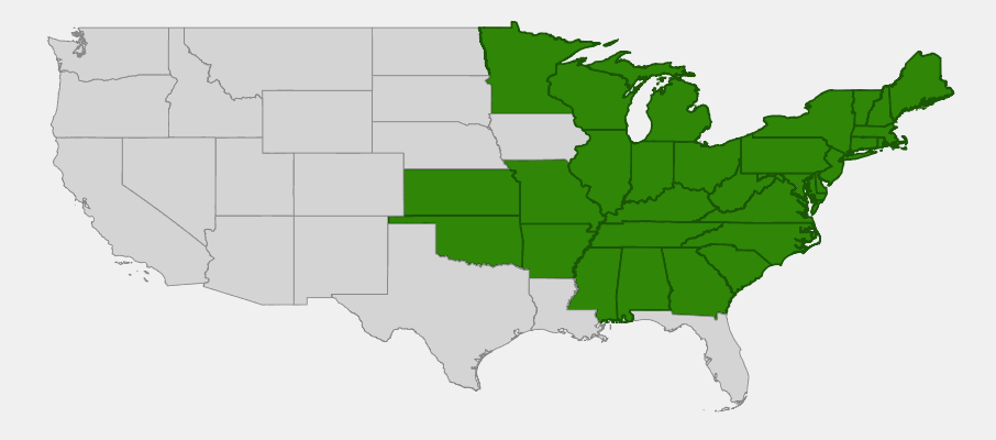 State-level native range of Vaccinium pallidum