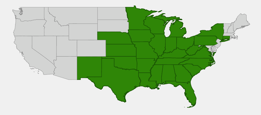 State-level native range of Glandularia canadensis