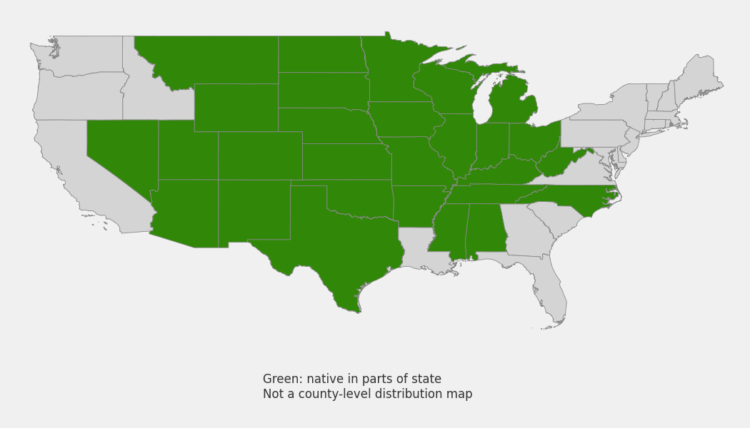 State-level native range of Verbena stricta