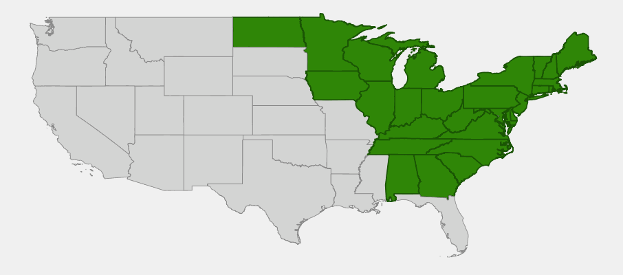 State-level native range of Viola blanda