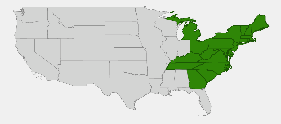 State-level native range of Viola rotundifolia