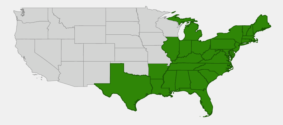 State-level native range of Woodwardia virginica