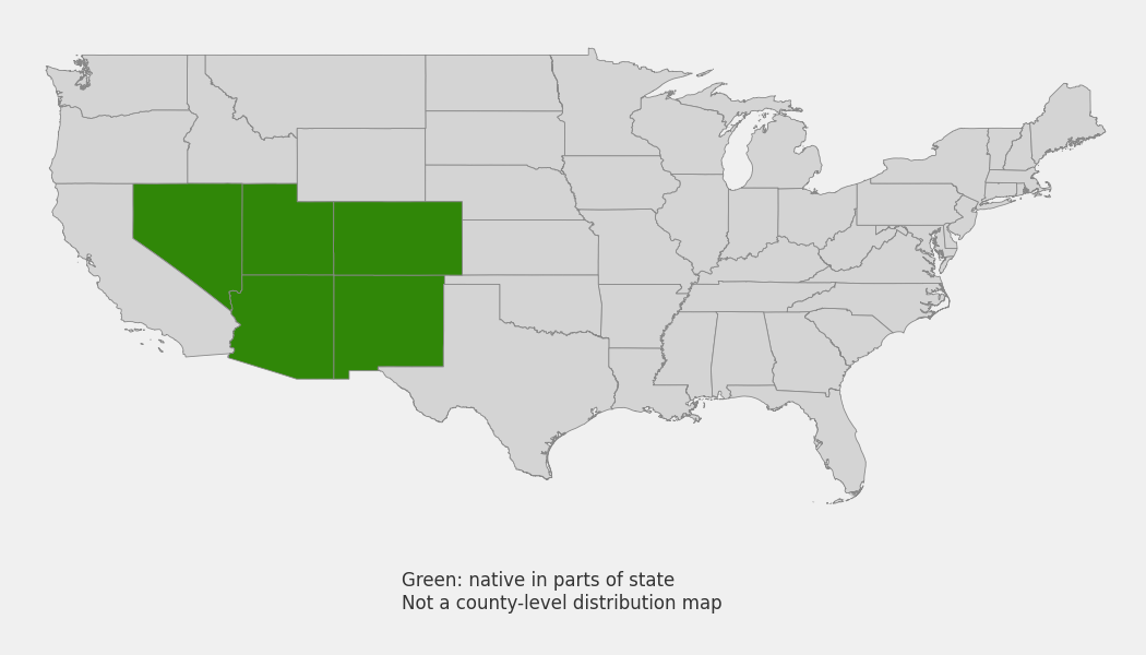 State-level native range of Yucca harrimaniae