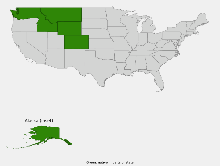Native range map of Alpine forget-me-not (Myosotis asiatica) showing Alaska and the high mountains of Washington, Idaho, Montana, Wyoming and Colorado