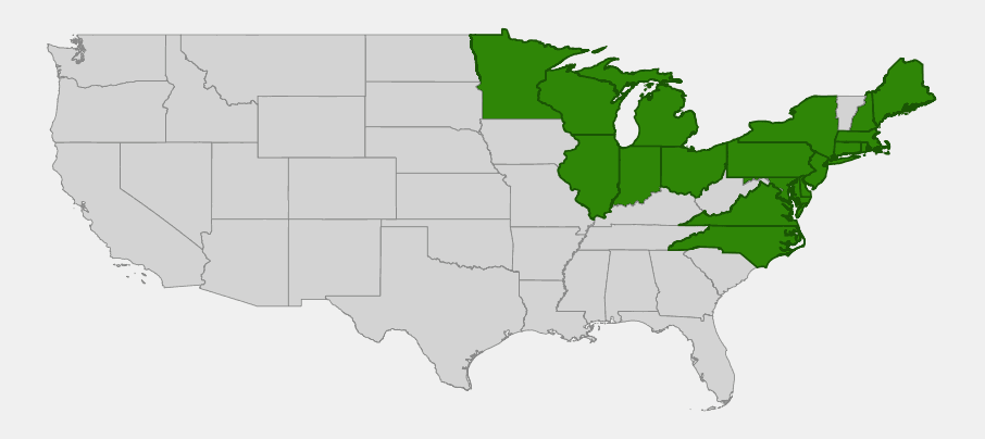 Native range map of American beach grass (Ammophila breviligulata) along the Atlantic coast and Great Lakes shorelines