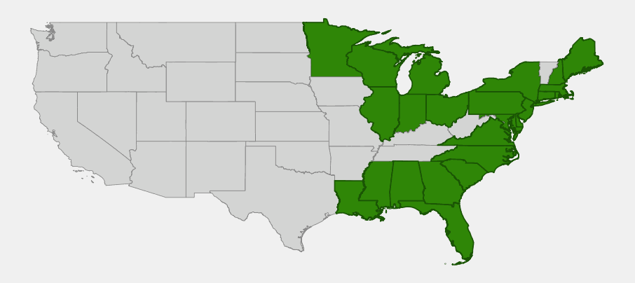 Native range map of American sea rocket (Cakile edentula) showing distribution along the Atlantic coast, Gulf coast, and Great Lakes, with the Pacific coast excluded as non-native