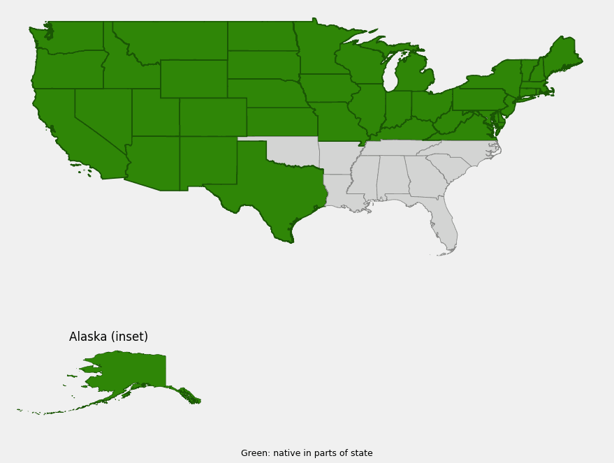 Native range map of American stinging nettle (Urtica dioica ssp. gracilis) across most of the continental United States