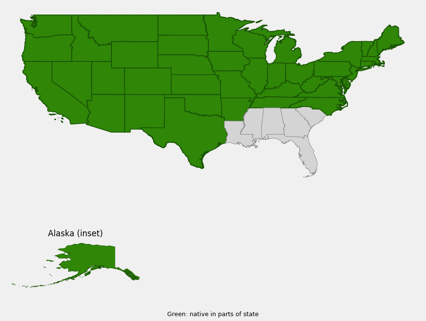Native range map of American Wild Mint (Mentha arvensis) showing distribution across nearly all of the United States and Canada except the Deep South