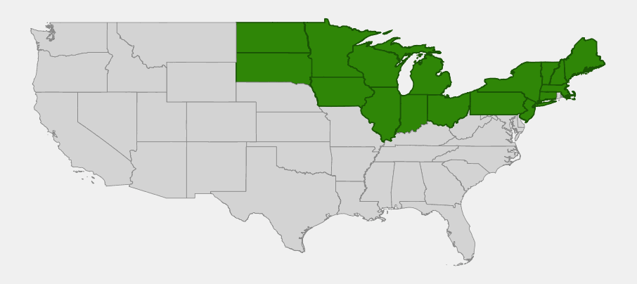Native range map of Arctic Brome (Bromus kalmii) showing distribution across the north-central and northeastern United States and Great Lakes region