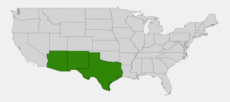 Native range map of Arizona Oak (Quercus arizonica) across Arizona, New Mexico, and far West Texas