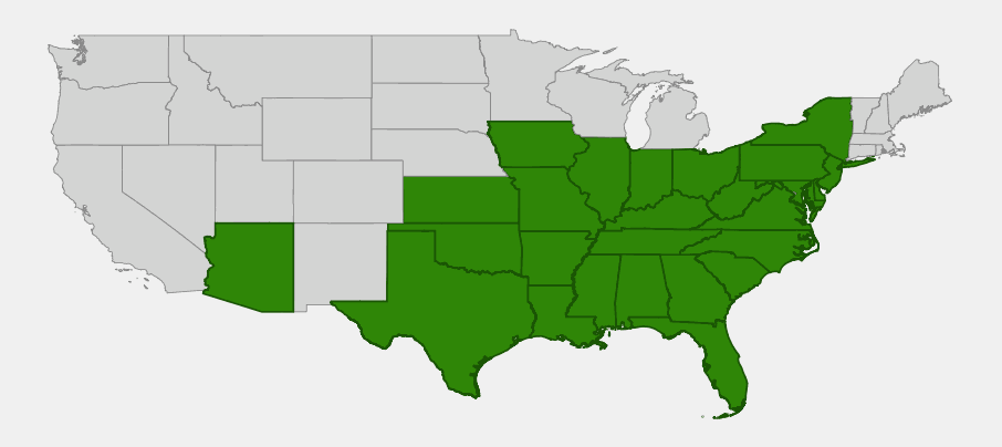 Native range map of Atlantic pigeonwings (Clitoria mariana) spanning the eastern and central United States with a disjunct population in Arizona