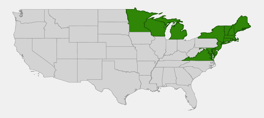 Native range map of beach heather (Hudsonia tomentosa) highlighting Maine to Virginia along the Atlantic coast and Michigan, Wisconsin and Minnesota around the Great Lakes