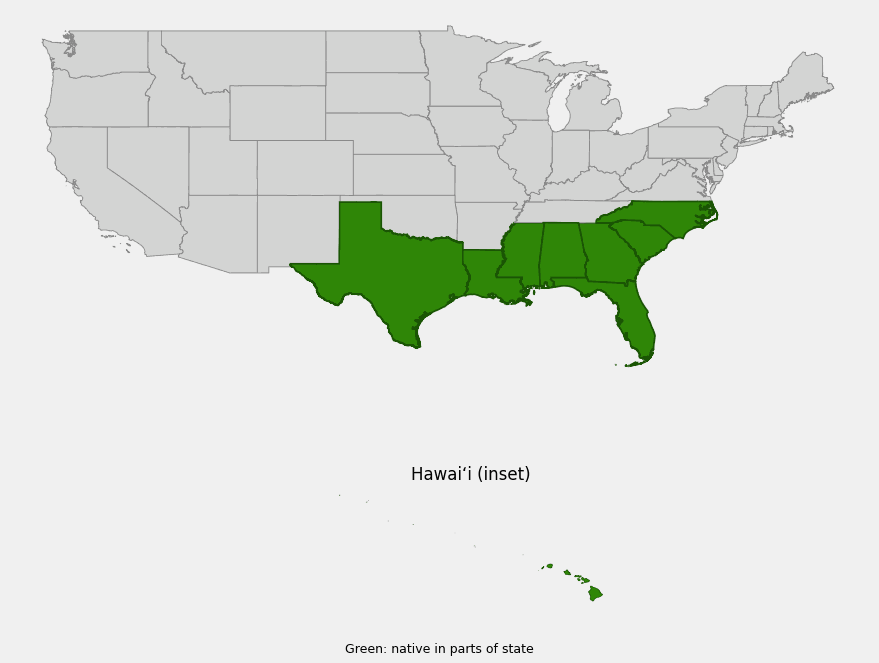 Native range map of beach morning glory (Ipomoea pes-caprae) showing distribution across the Southeast and Gulf Coast states and Hawaii