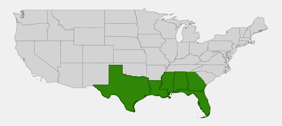 Native range map of Beach Sunflower (Helianthus debilis) showing distribution across Florida, Georgia, Alabama, Mississippi, Louisiana, and Texas