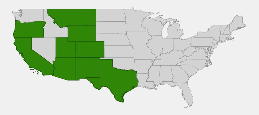 Native range map of beardless wildrye (Leymus triticoides) highlighting California, Oregon, Montana, Wyoming, Utah, Colorado, Arizona, New Mexico and Texas