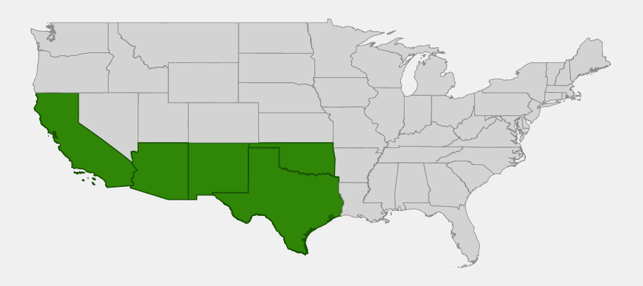 Native range map of big sacaton (Sporobolus wrightii) showing distribution across Arizona, California, New Mexico, Oklahoma and Texas