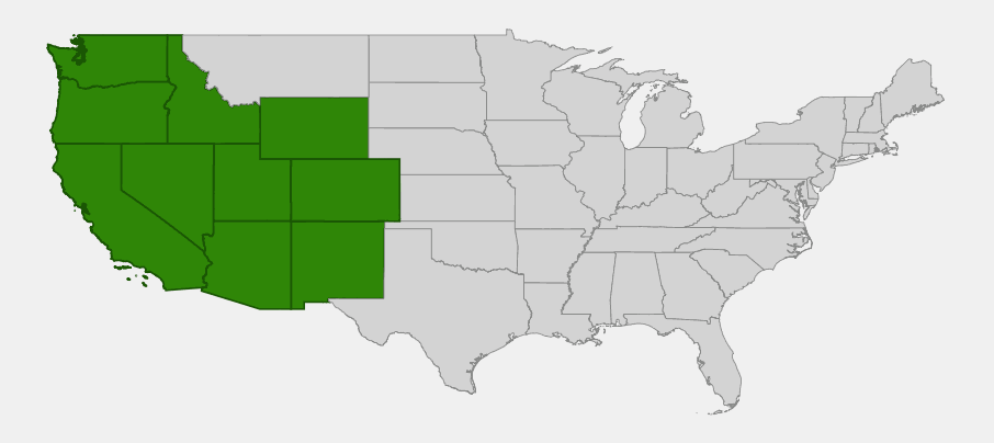 Native range map of big squirreltail (Elymus multisetus) showing distribution across the western United States from Washington to Arizona and New Mexico