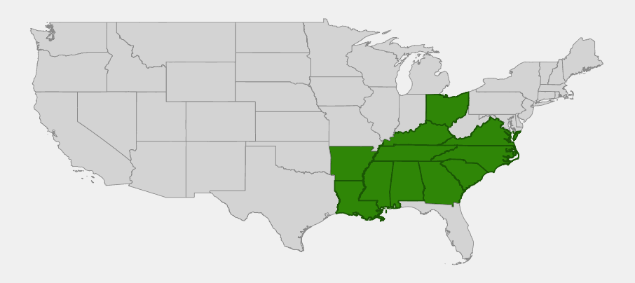 Native range map of Bigleaf Magnolia (Magnolia macrophylla) showing distribution across the southern Appalachians and lower Southeast