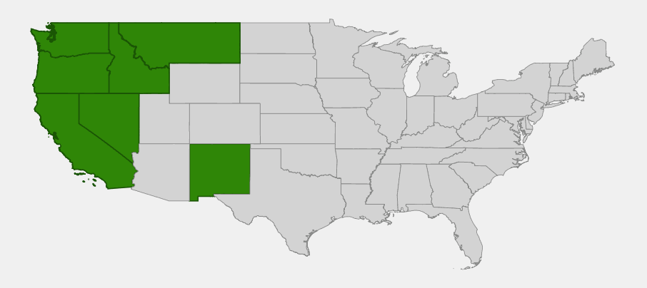 Native range map of Bigleaf Sedge (Carex amplifolia) showing distribution across the Pacific Northwest, California, Idaho, Montana, Nevada, and New Mexico