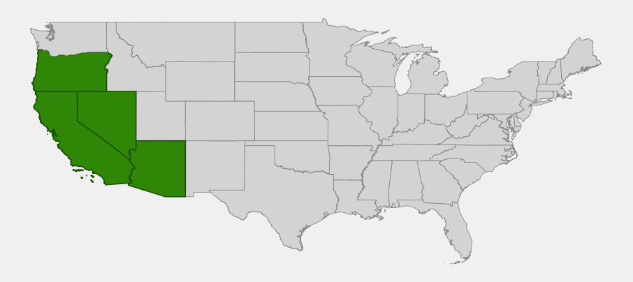 Native range map of bird's foot fern (Pellaea mucronata) showing distribution across California, Oregon, Nevada, and Arizona