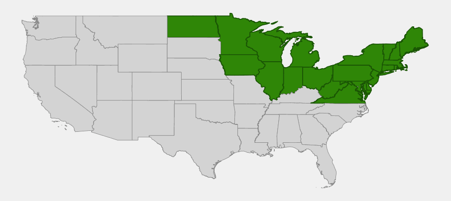Native range map of Black Ash (Fraxinus nigra) across the northeastern United States and Great Lakes region