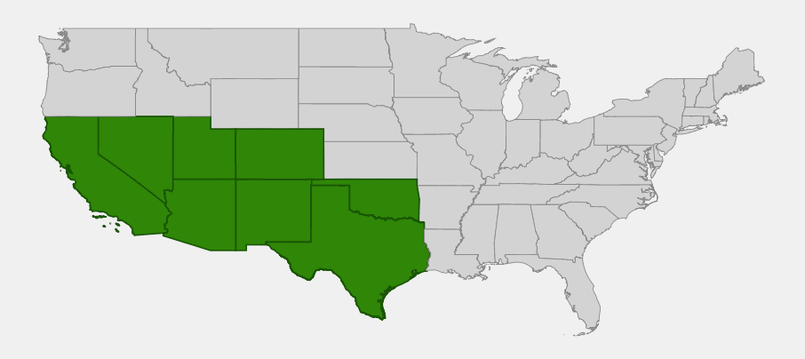 Native range map of Black Grama (Bouteloua eriopoda) showing distribution across Arizona, California, Colorado, Nevada, New Mexico, Oklahoma, Texas, and Utah