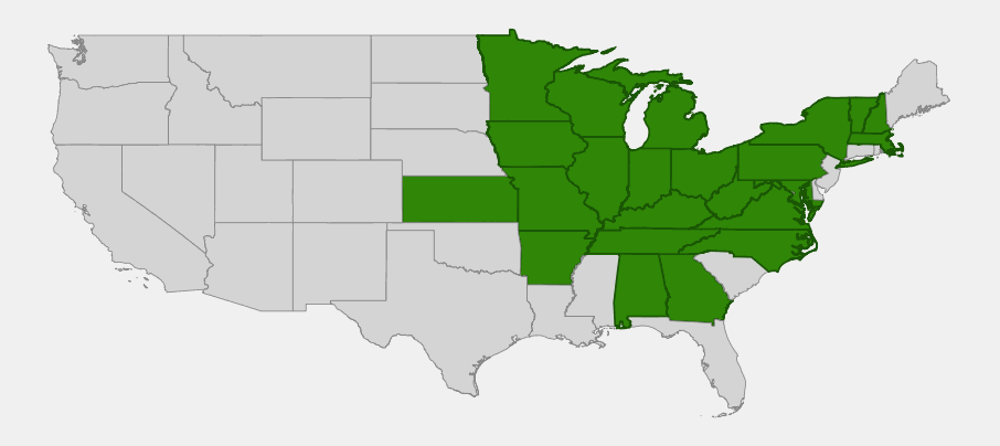 Native range map of black maple (Acer nigrum) across the eastern and midwestern United States