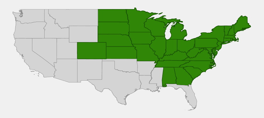 Native range map of Black Raspberry (Rubus occidentalis) showing distribution across the eastern and central United States from New England to the Dakotas and south to the Appalachians
