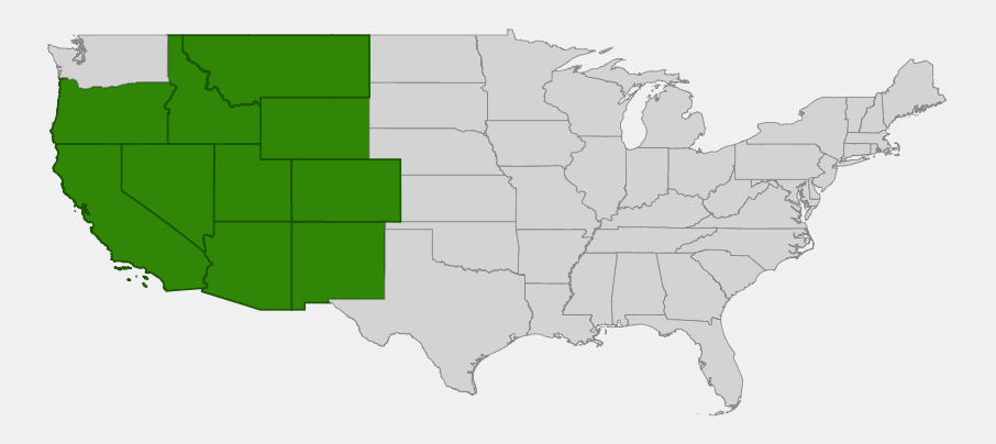 Native range map of Black Sagebrush (Artemisia nova) across the Great Basin and intermountain West