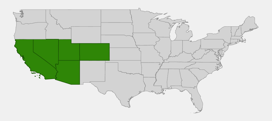 Native range map of Blackbrush (Coleogyne ramosissima) highlighting California, Nevada, Utah, Arizona, and southwestern Colorado