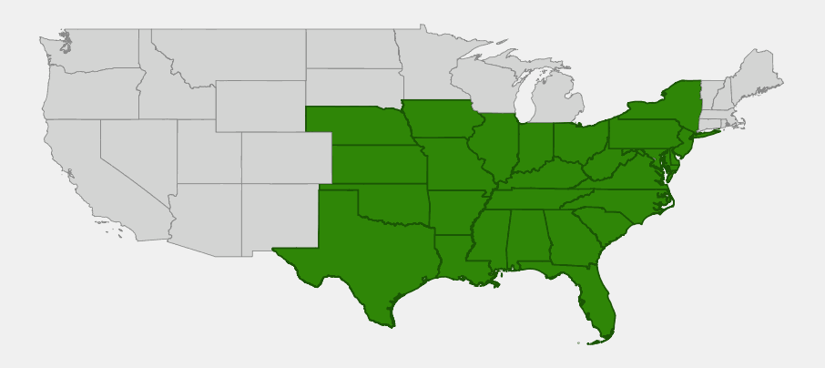 Native range map of Blackjack Oak (Quercus marilandica) showing distribution across the eastern and south-central United States from New York to Florida and west to Nebraska and Texas