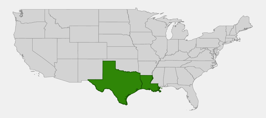 Native range map of Texas Bluebonnet (Lupinus texensis) highlighting Texas and Louisiana