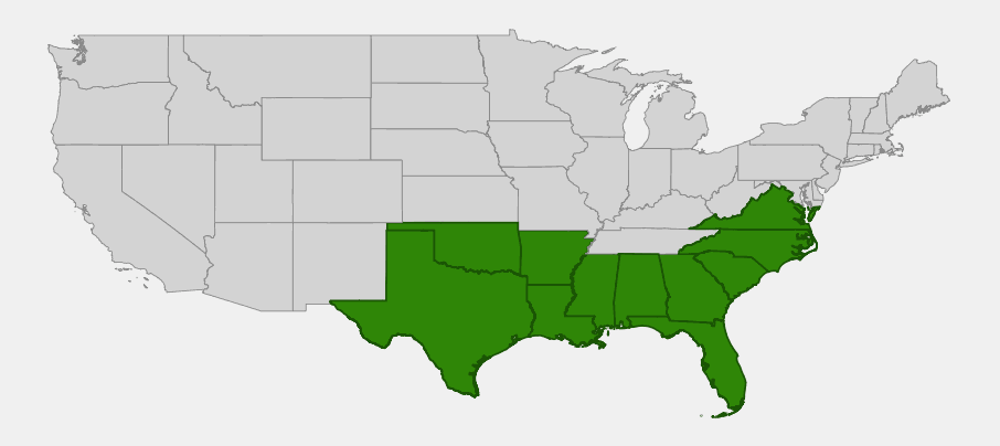 Native range map of Bluejack Oak (Quercus incana) showing distribution across the Southeast from Virginia to Texas