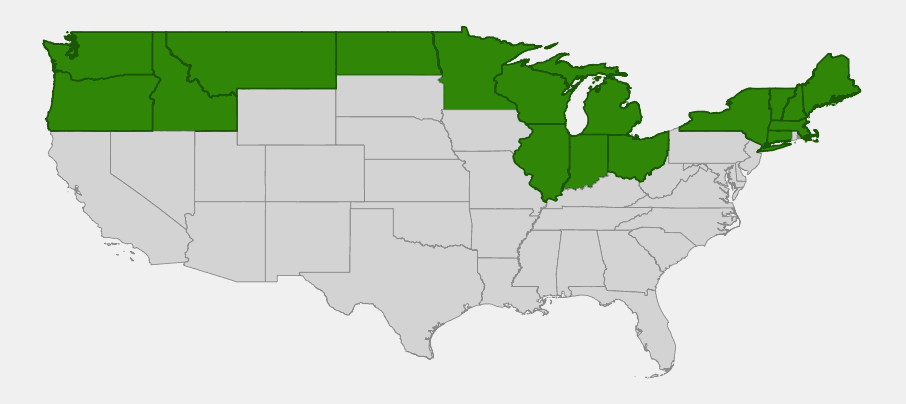Native range map of bog birch (Betula pumila) showing distribution across the upper Midwest, Northeast, and a disjunct northern Rockies and Pacific Northwest population