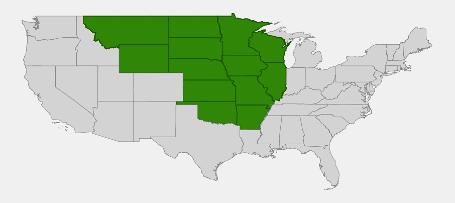 Native range map of Bracted Spiderwort (Tradescantia bracteata) highlighting Montana, Wyoming, North Dakota, South Dakota, Nebraska, Kansas, Oklahoma, Arkansas, Minnesota, Iowa, Missouri, Wisconsin, and Illinois
